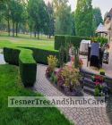 TesnerTreeAndShrubCare.com - Shane Tesner - Port Huron, MI - Trees - Shrubs - Hedges - Topiary - Ornamentals - Landscaping