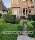 TesnerTreeAndShrubCare.com - Shane Tesner - Port Huron, MI - Trees - Shrubs - Hedges - Topiary - Ornamentals - Landscaping