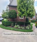 TesnerTreeAndShrubCare.com - Shane Tesner - Port Huron, MI - Trees - Shrubs - Hedges - Topiary - Ornamentals - Landscaping
