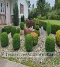 TesnerTreeAndShrubCare.com - Shane Tesner - Port Huron, MI - Trees - Shrubs - Hedges - Topiary - Ornamentals - Landscaping