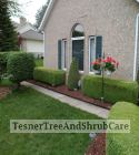 TesnerTreeAndShrubCare.com - Shane Tesner - Port Huron, MI - Trees - Shrubs - Hedges - Topiary - Ornamentals - Landscaping