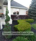 TesnerTreeAndShrubCare.com - Shane Tesner - Port Huron, MI - Trees - Shrubs - Hedges - Topiary - Ornamentals - Landscaping