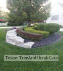 TesnerTreeAndShrubCare.com - Shane Tesner - Port Huron, MI - Trees - Shrubs - Hedges - Topiary - Ornamentals - Landscaping