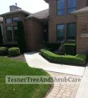 TesnerTreeAndShrubCare.com - Shane Tesner - Port Huron, MI - Trees - Shrubs - Hedges - Topiary - Ornamentals - Landscaping