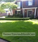 TesnerTreeAndShrubCare.com - Shane Tesner - Port Huron, MI - Trees - Shrubs - Hedges - Topiary - Ornamentals - Landscaping