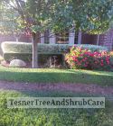 TesnerTreeAndShrubCare.com - Shane Tesner - Port Huron, MI - Trees - Shrubs - Hedges - Topiary - Ornamentals - Landscaping