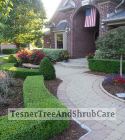 TesnerTreeAndShrubCare.com - Shane Tesner - Port Huron, MI - Trees - Shrubs - Hedges - Topiary - Ornamentals - Landscaping