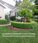 TesnerTreeAndShrubCare.com - Shane Tesner - Port Huron, MI - Trees - Shrubs - Hedges - Topiary - Ornamentals - Landscaping