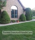 TesnerTreeAndShrubCare.com - Shane Tesner - Port Huron, MI - Trees - Shrubs - Hedges - Topiary - Ornamentals - Landscaping