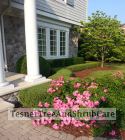 TesnerTreeAndShrubCare.com - Shane Tesner - Port Huron, MI - Trees - Shrubs - Hedges - Topiary - Ornamentals - Landscaping