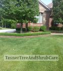 TesnerTreeAndShrubCare.com - Shane Tesner - Port Huron, MI - Trees - Shrubs - Hedges - Topiary - Ornamentals - Landscaping