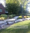 TesnerTreeAndShrubCare.com - Shane Tesner - Port Huron, MI - Trees - Shrubs - Hedges - Topiary - Ornamentals - Landscaping