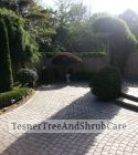 TesnerTreeAndShrubCare.com - Shane Tesner - Port Huron, MI - Trees - Shrubs - Hedges - Topiary - Ornamentals - Landscaping